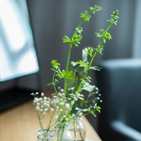 Skjolden Hotel Ξενοδοχείο 4*